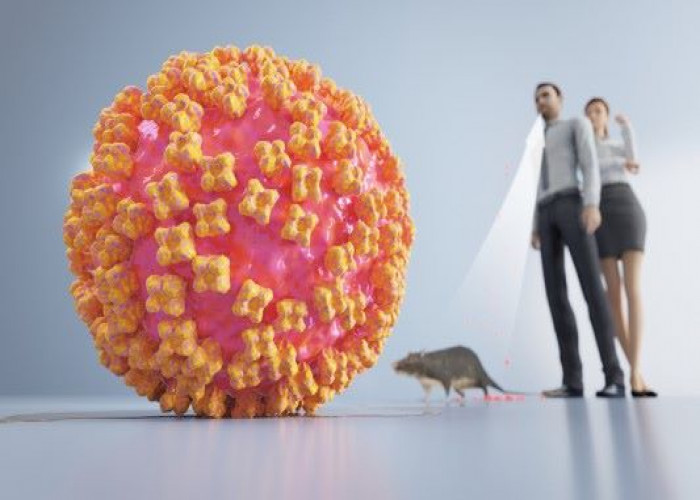 Hantavirus pulmonary syndrome