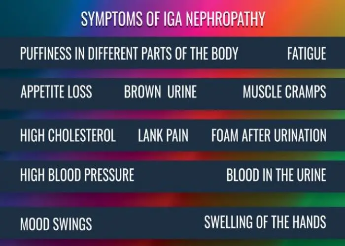 IgA nephropathy (Berger's disease)