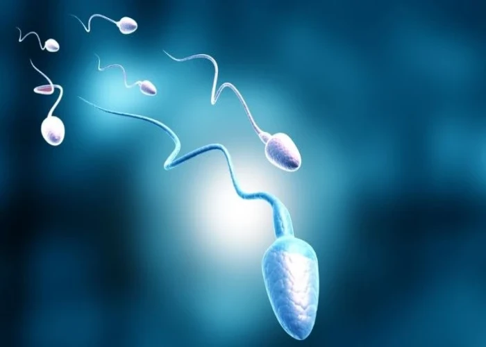 Male infertility