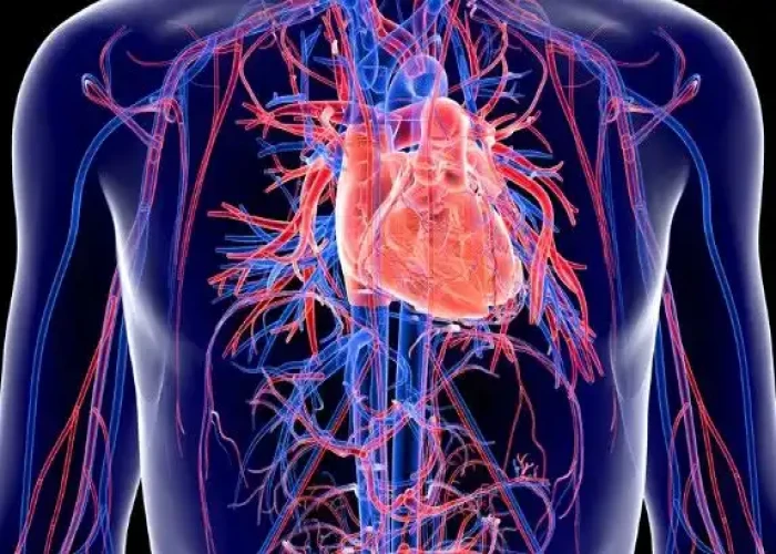 Transposition of the great arteries