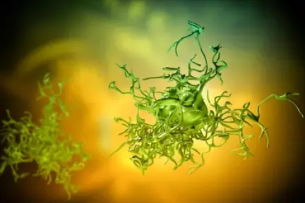 Amoebiasis