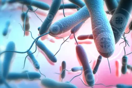 Cholera
