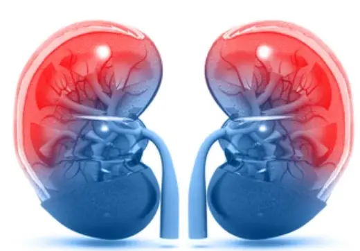 Kidney disease