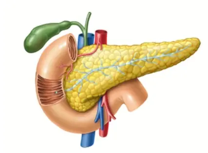Pancreatic disease