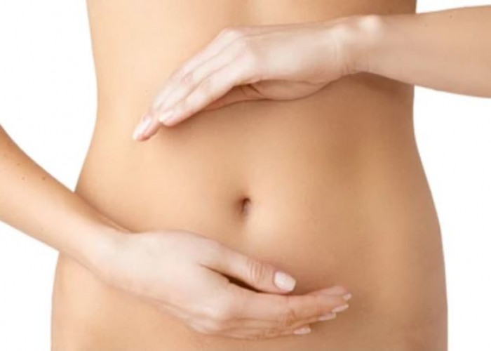 Abdomen