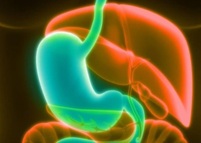 Gallbladder