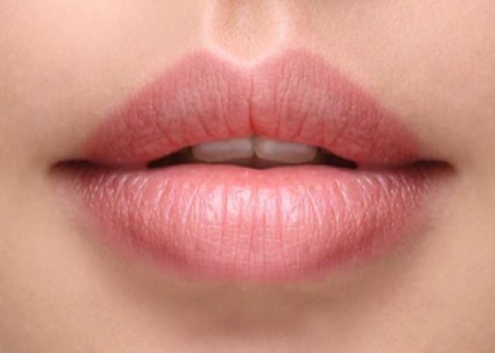 Lip