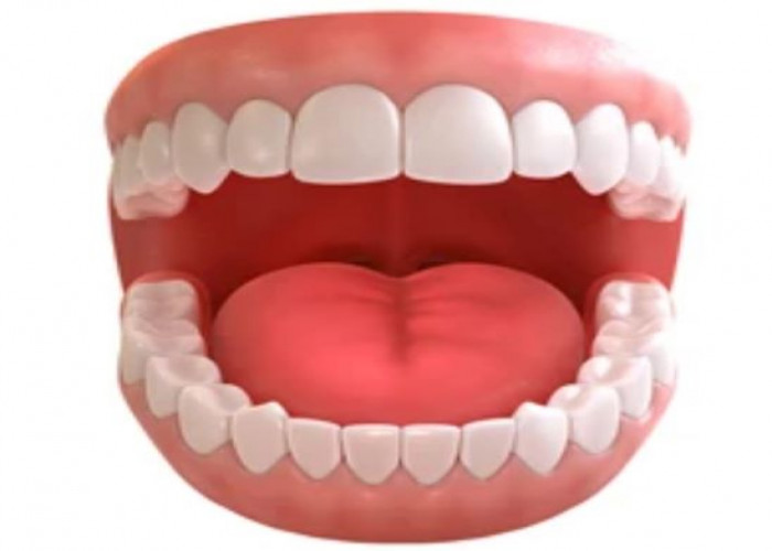 Mouth