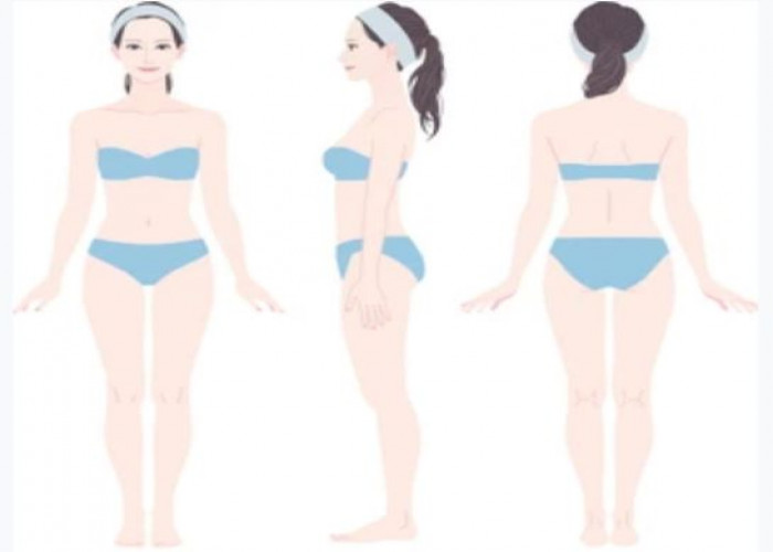 Whole body