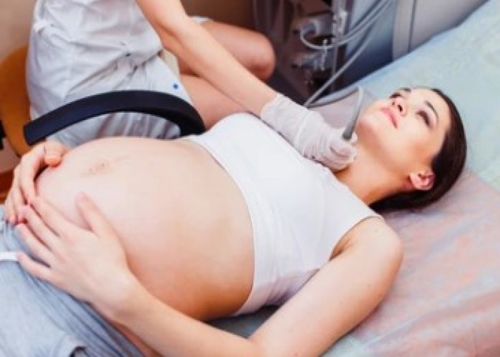 Maternal gland is weak