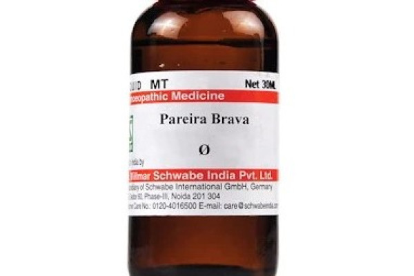 Pareira brava
