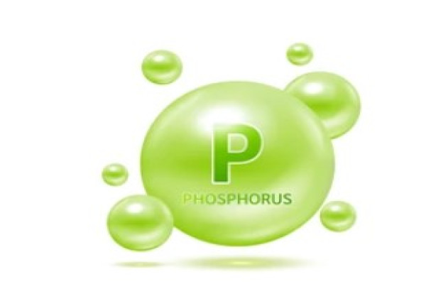 Phosphorus