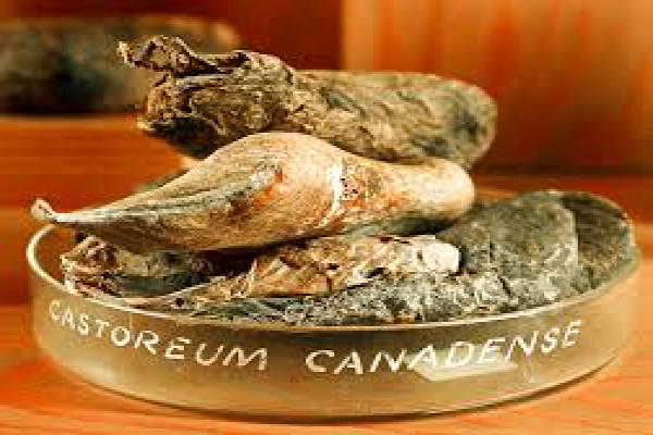 Castoreum