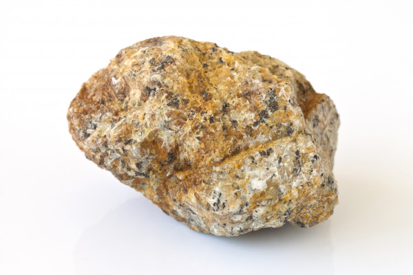 Ambra grisea