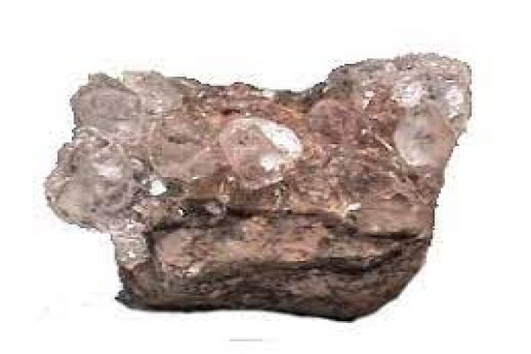 Ammonium muriaticum