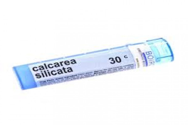 Calcarea silicata