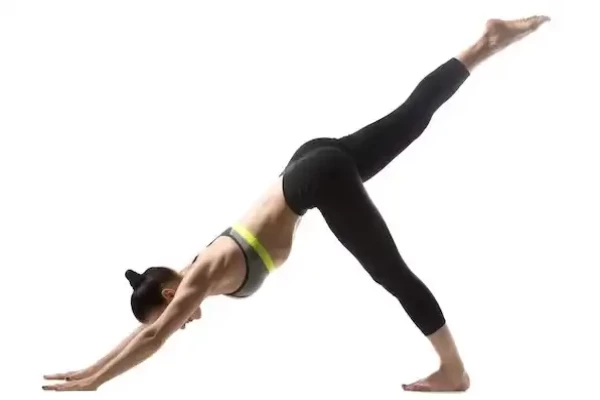 Eka Pada Svanasana