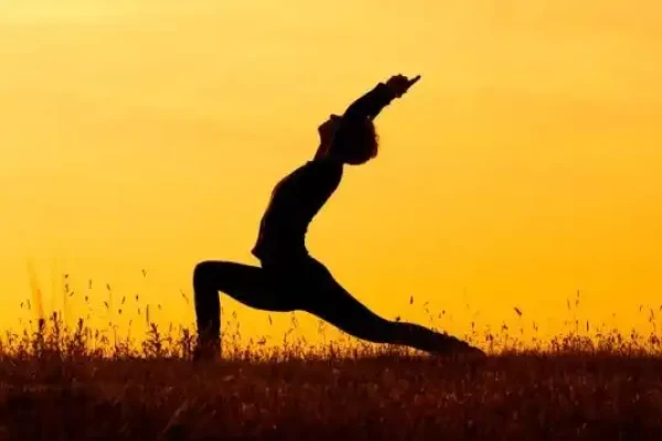 Surya Namaskar B